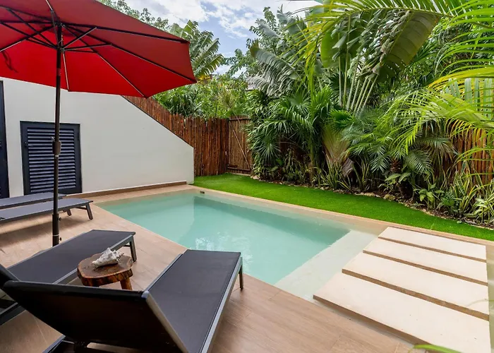 Casa Asana 5 Luxe Retreat Villa